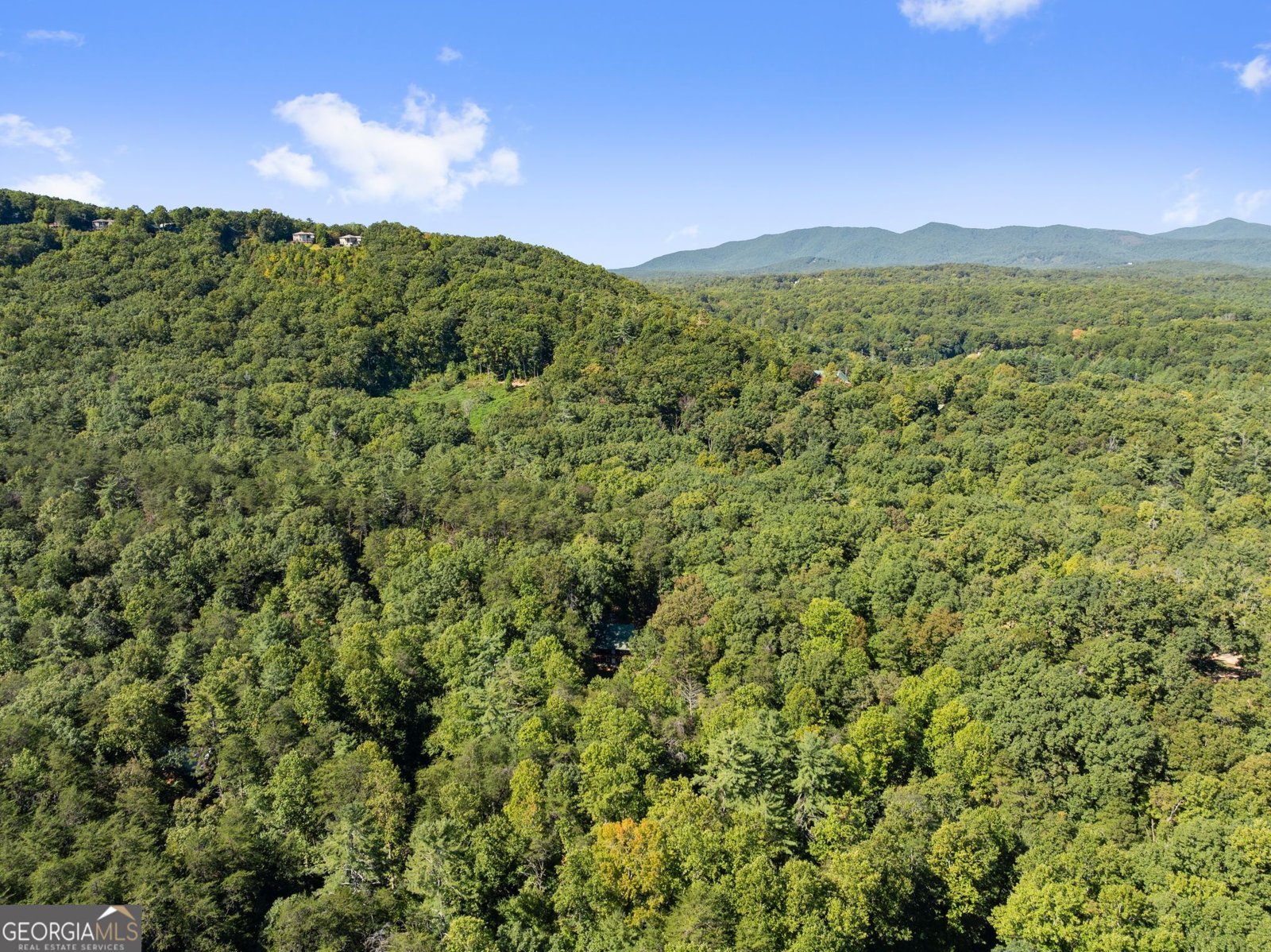 1014 Alpine Drive Sautee Nacoochee - Photo 54