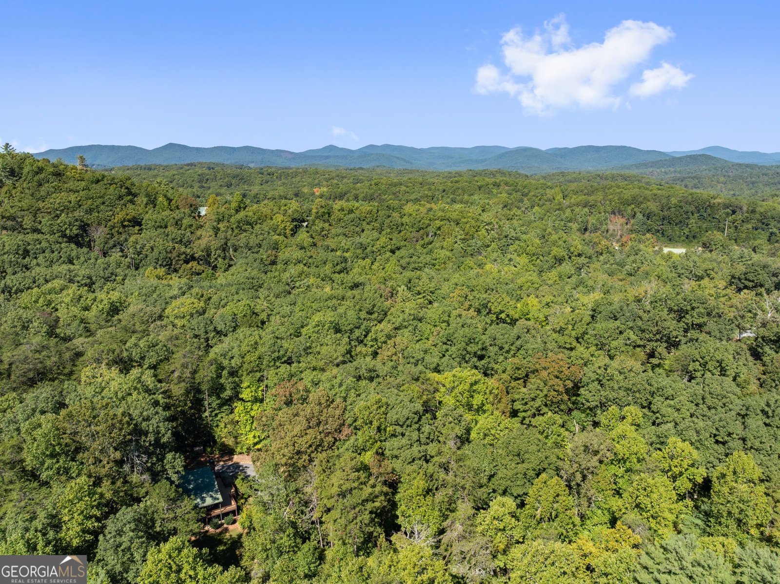 1014 Alpine Drive Sautee Nacoochee - Photo 58