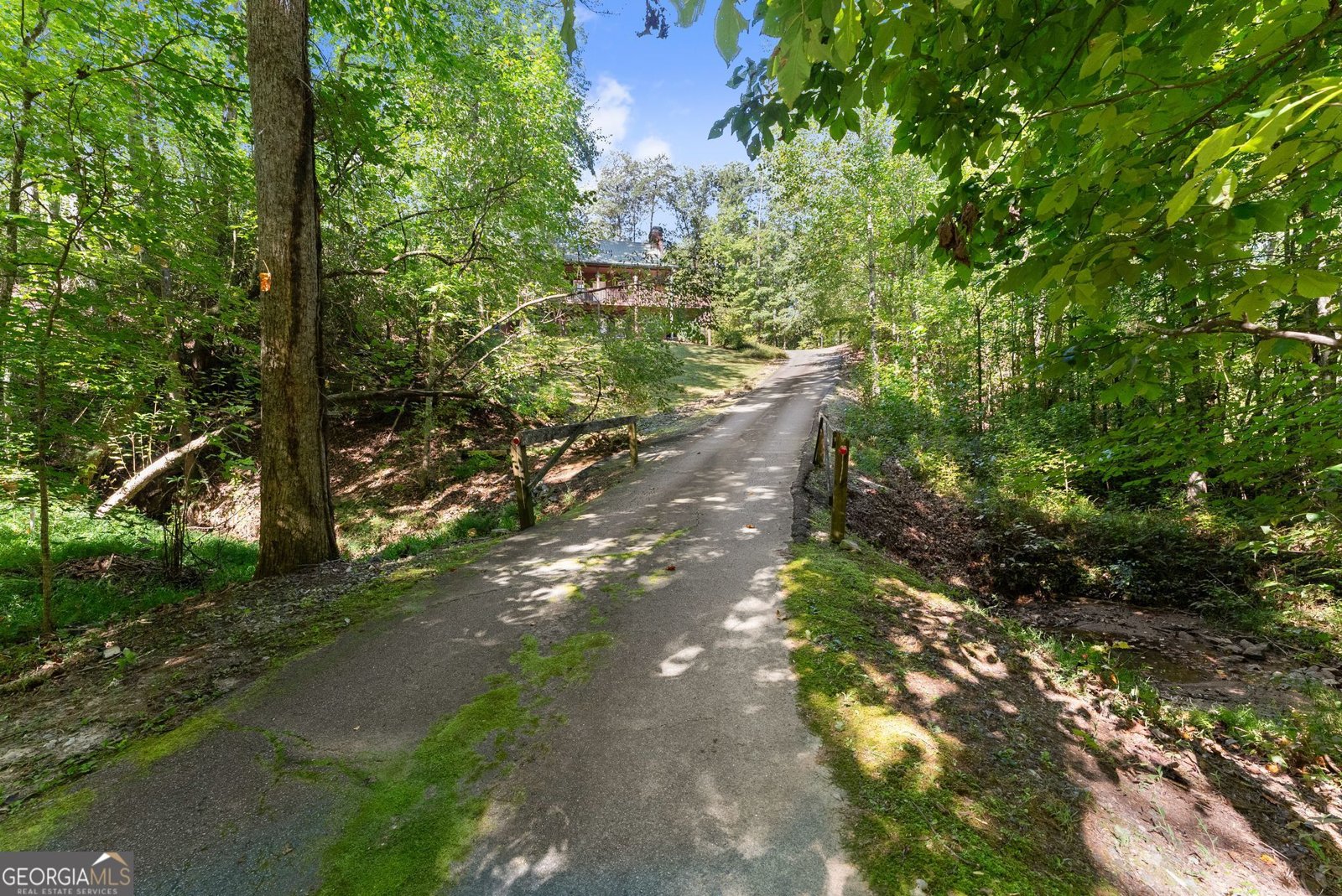 1014 Alpine Drive Sautee Nacoochee - Photo 9