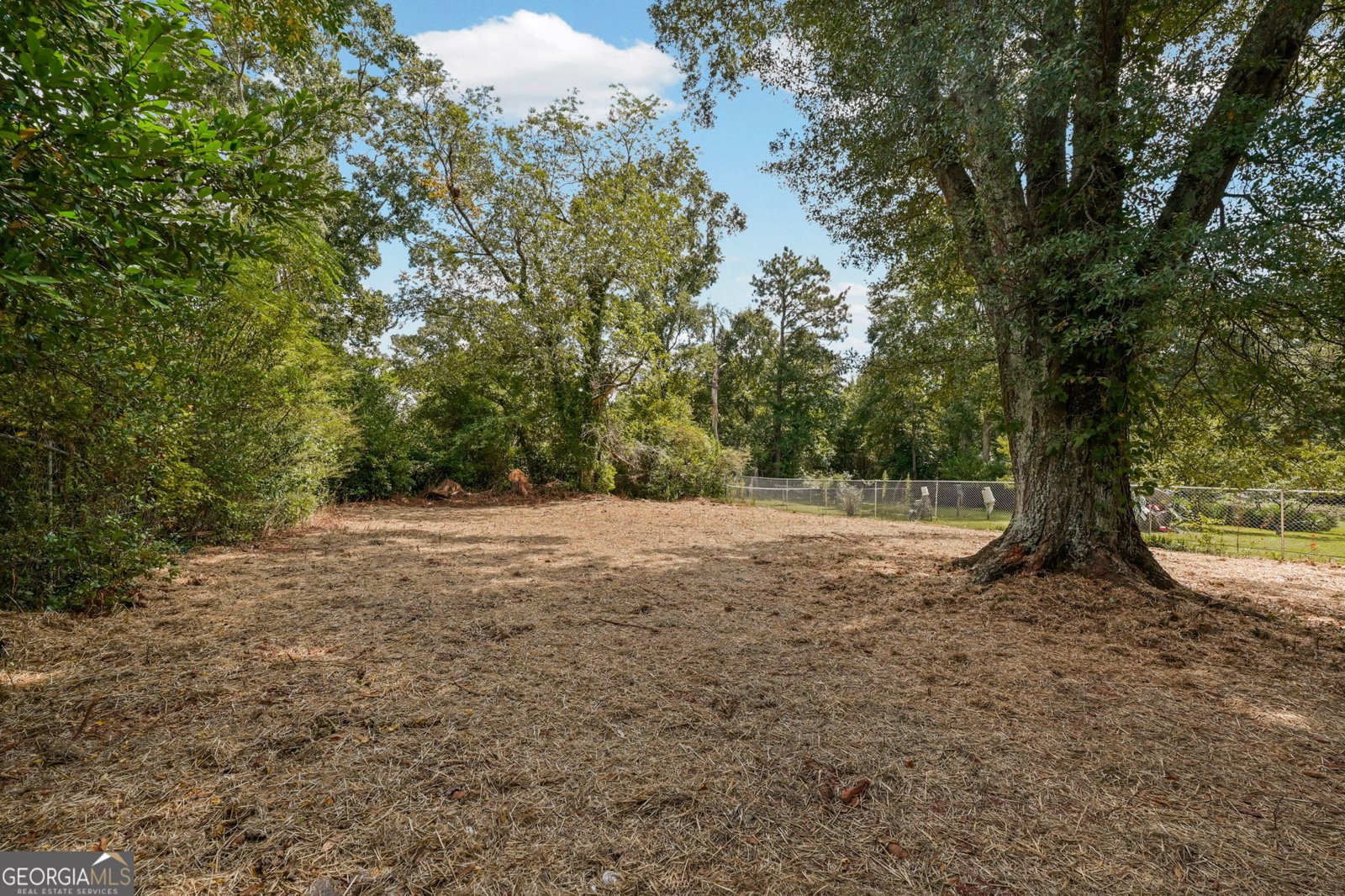 1254 Ext N 9th Street Griffin - Photo 30