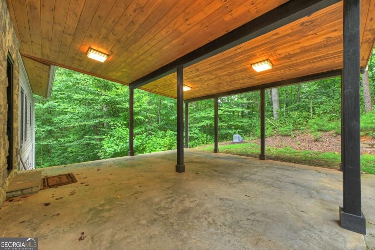 1009 Hefner Lake Road Ellijay - Photo 50