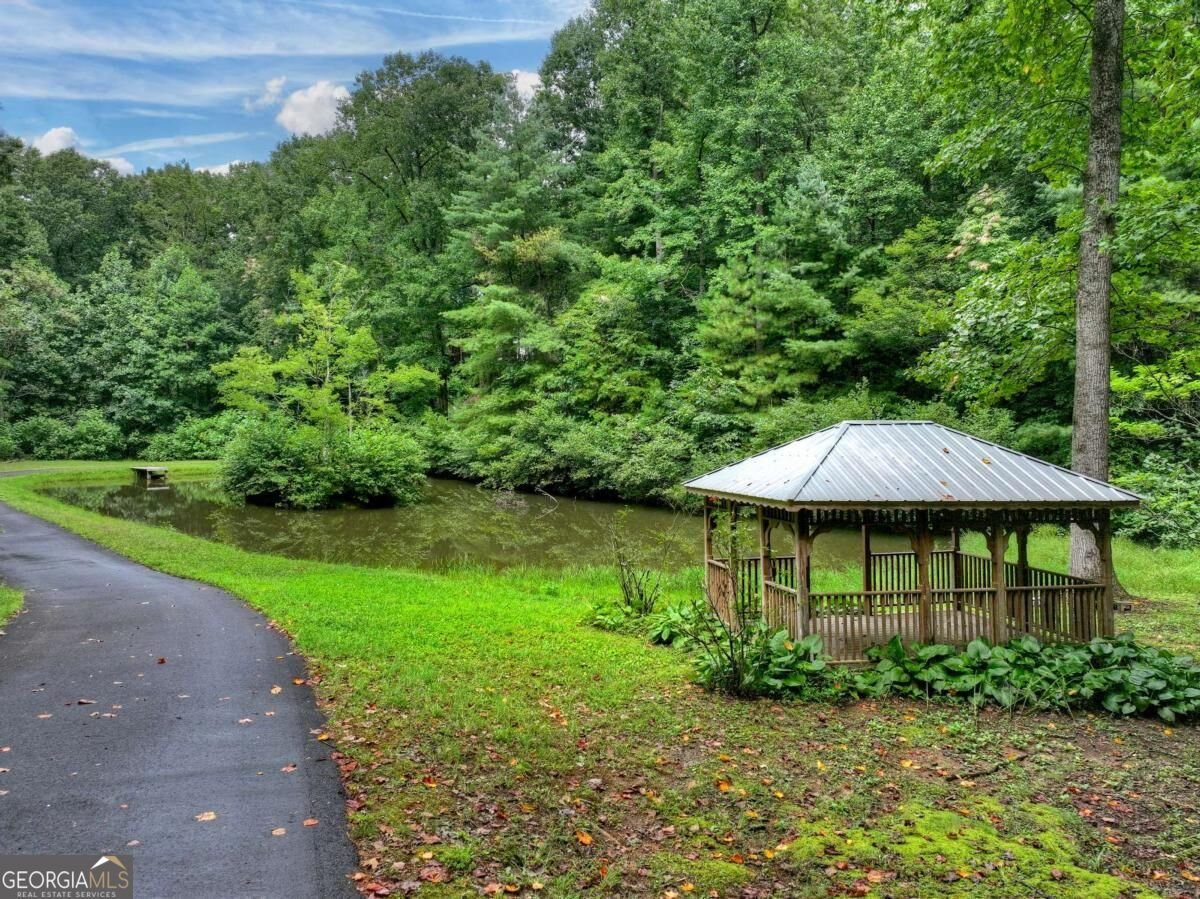 1009 Hefner Lake Road Ellijay - Photo 62