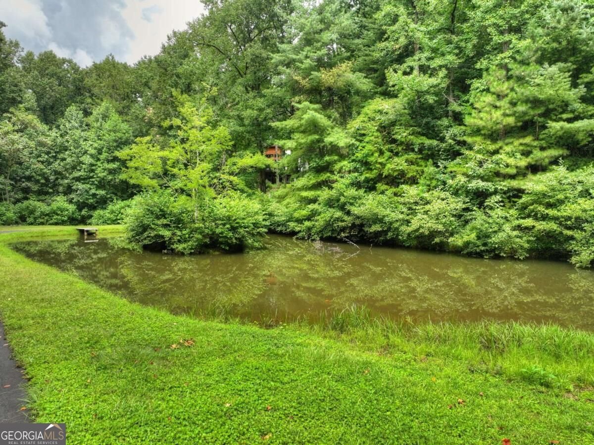 1009 Hefner Lake Road Ellijay - Photo 64