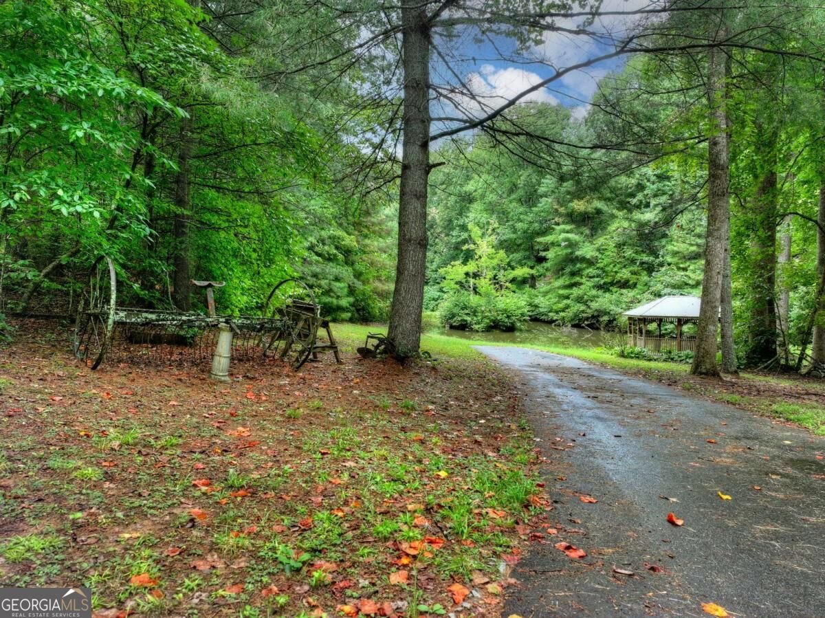 1009 Hefner Lake Road Ellijay - Photo 65