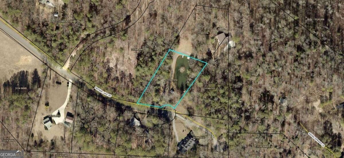 1009 Hefner Lake Road Ellijay - Photo 69