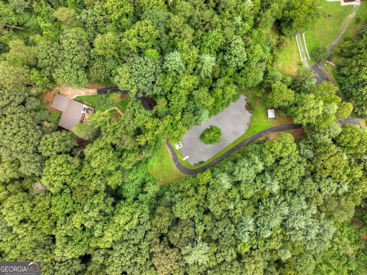 1009 Hefner Lake Road Ellijay - Photo 7