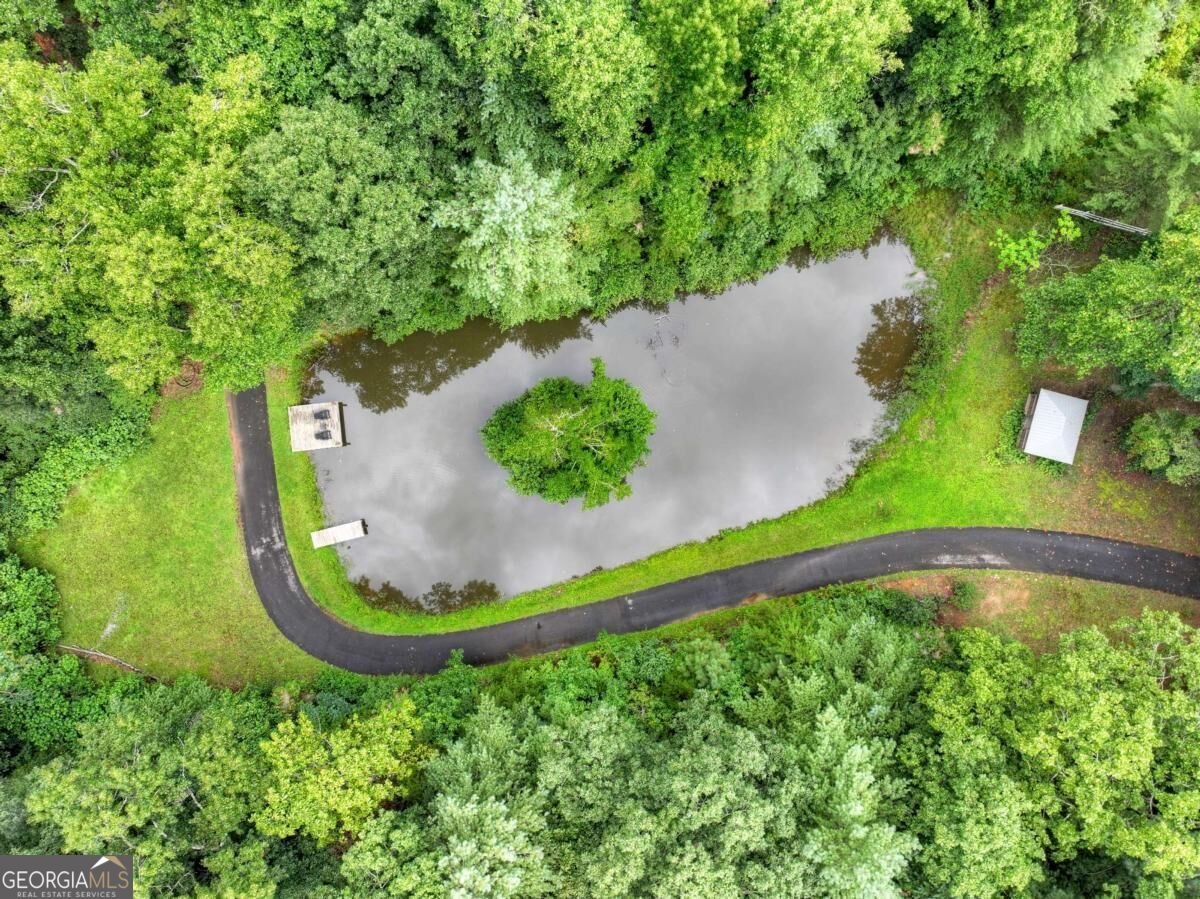 1009 Hefner Lake Road Ellijay - Photo 74