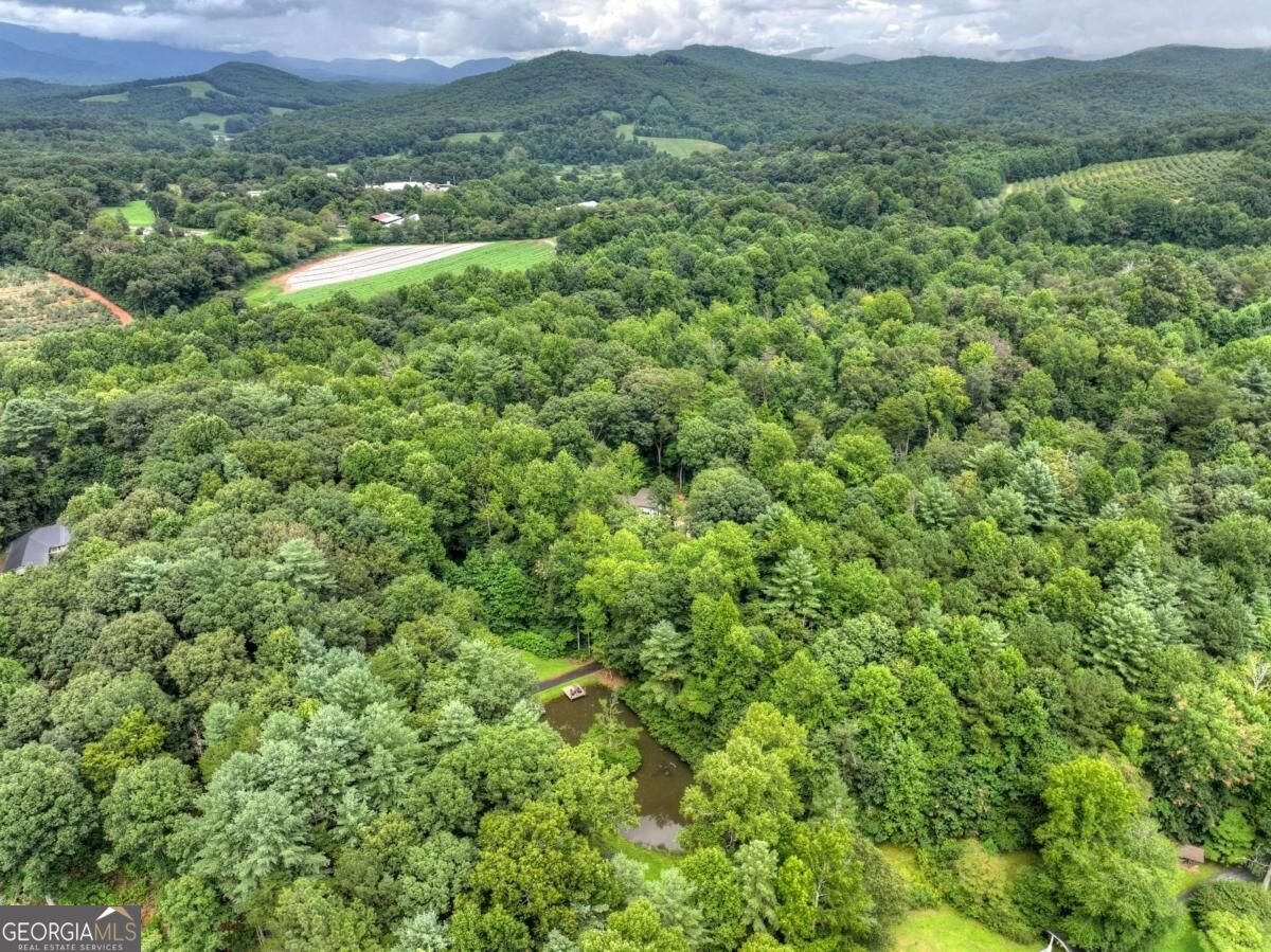 1009 Hefner Lake Road Ellijay - Photo 76