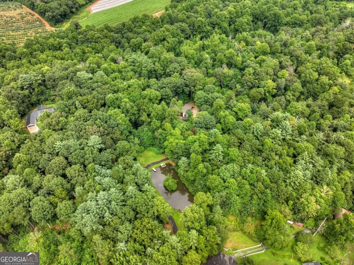 1009 Hefner Lake Road Ellijay - Photo 77