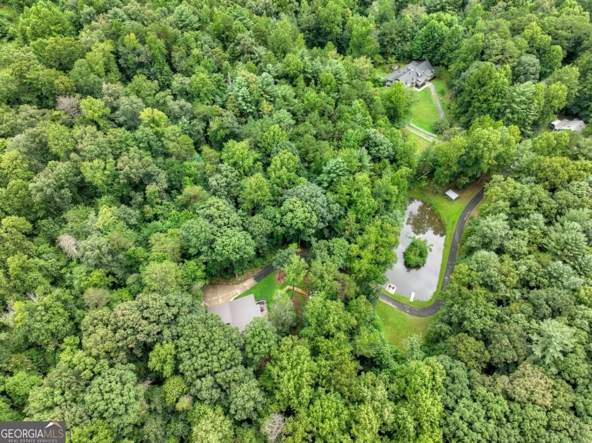 1009 Hefner Lake Road Ellijay - Photo 78
