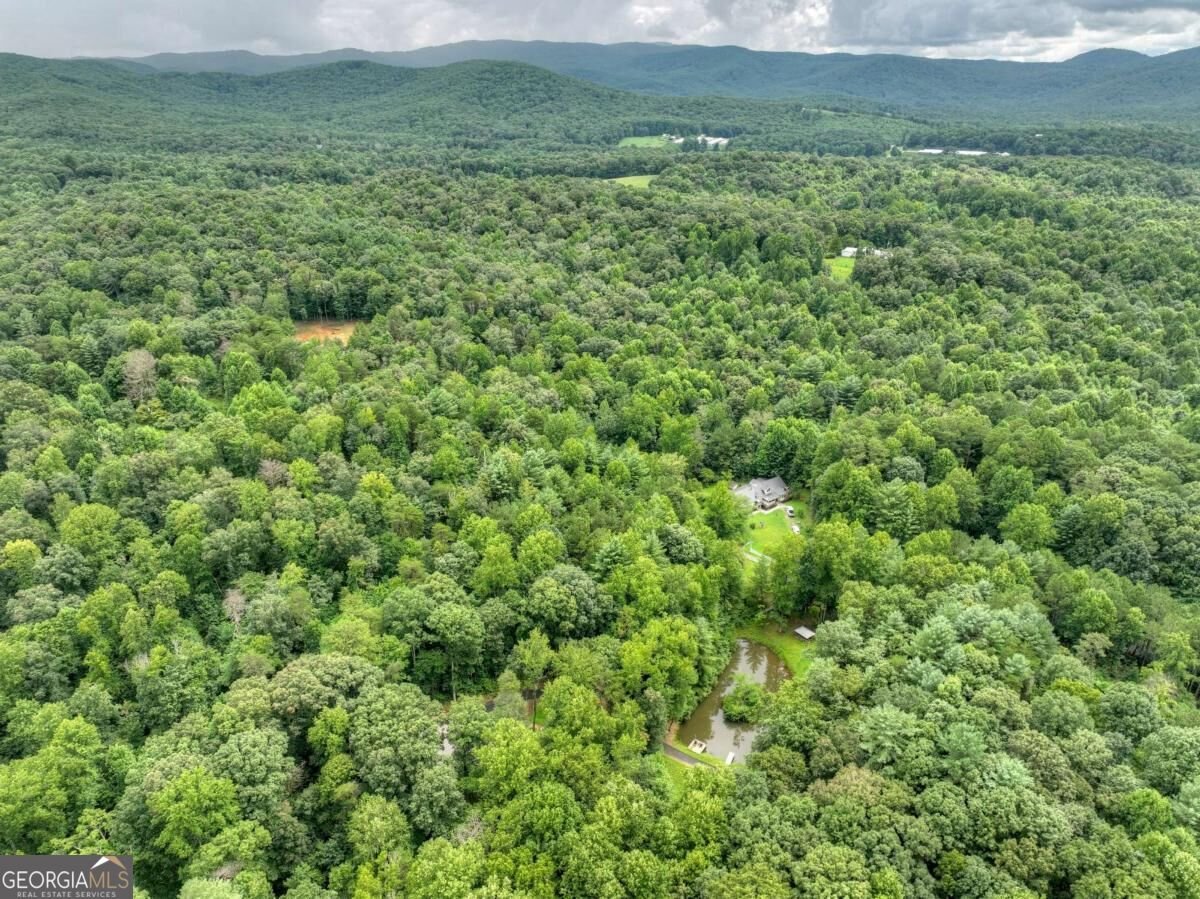 1009 Hefner Lake Road Ellijay - Photo 79