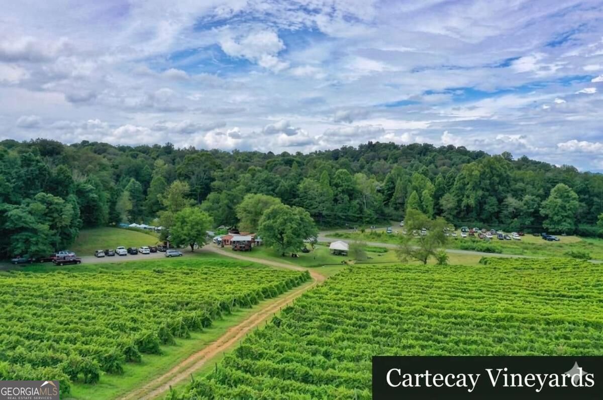 1009 Hefner Lake Road Ellijay - Photo 80