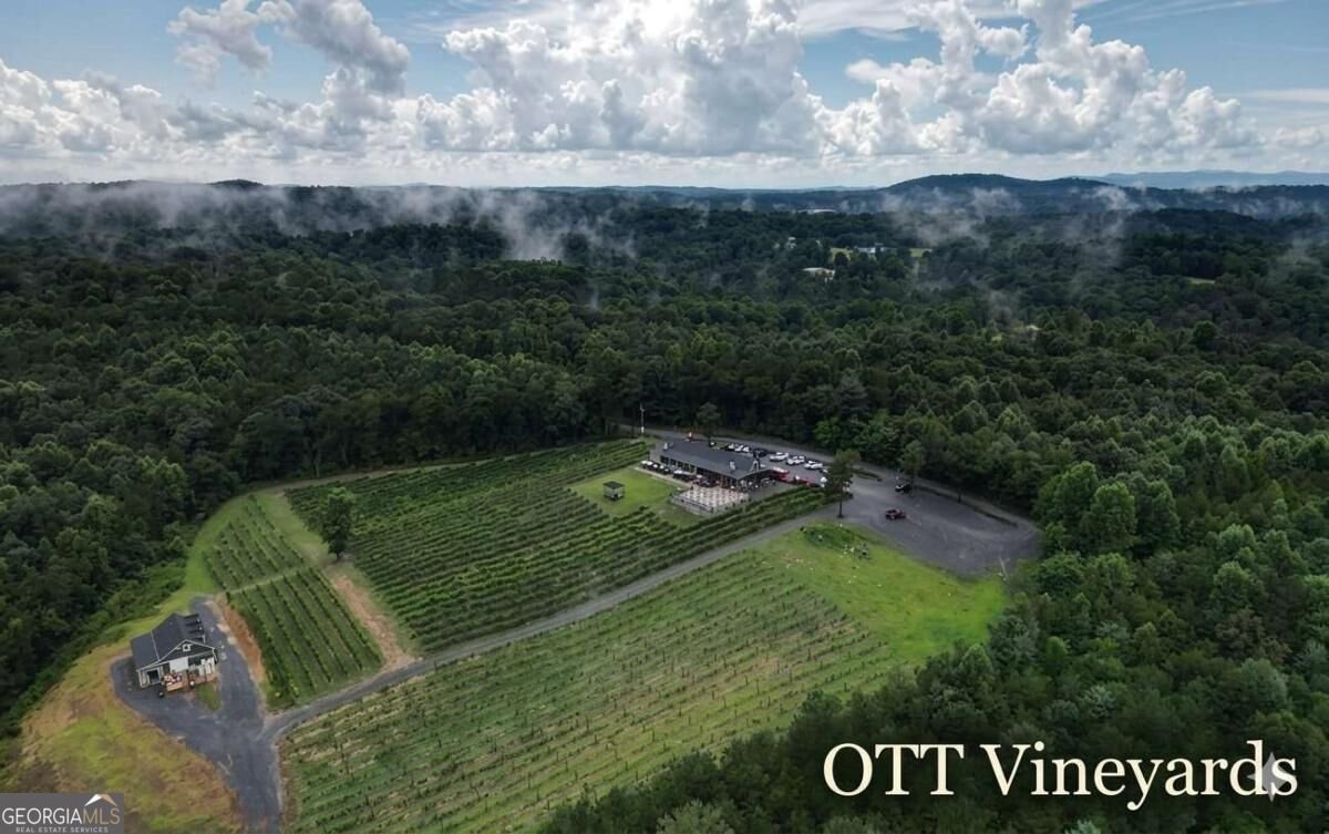 1009 Hefner Lake Road Ellijay - Photo 81