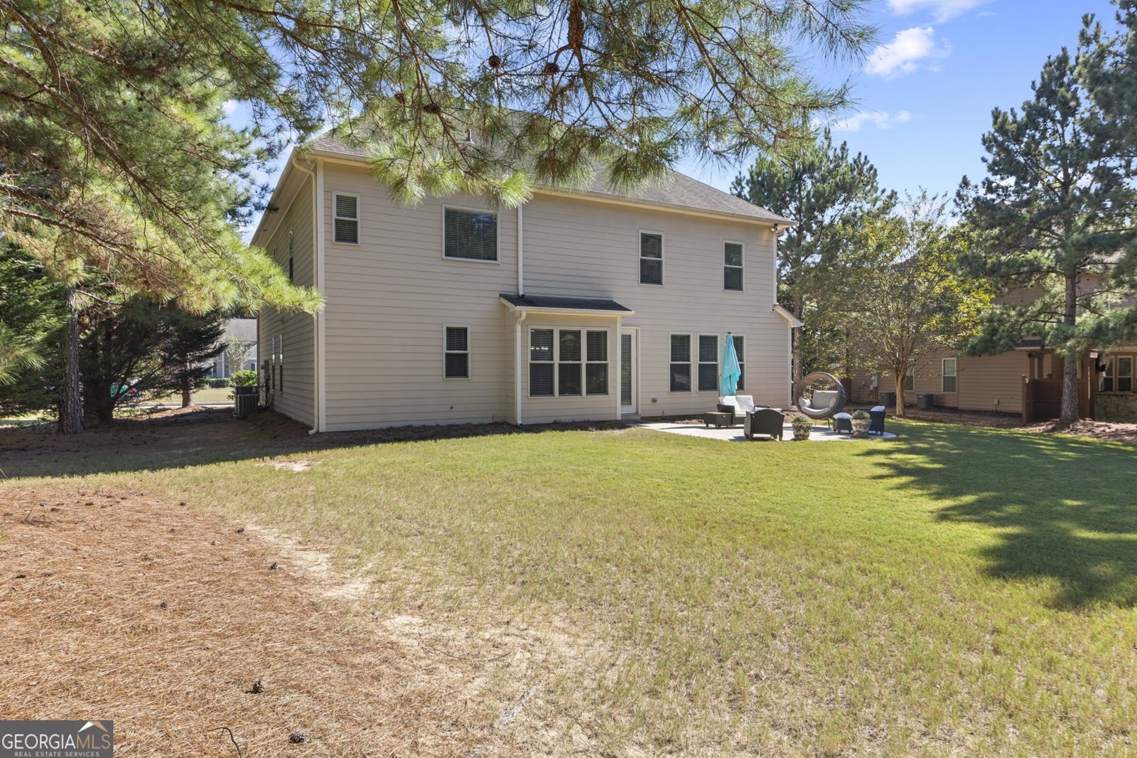 125 Delamere Place Tyrone - Photo 45