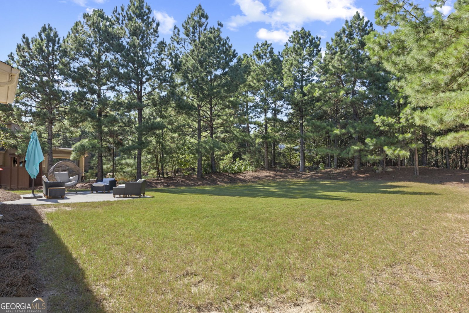 125 Delamere Place Tyrone - Photo 46