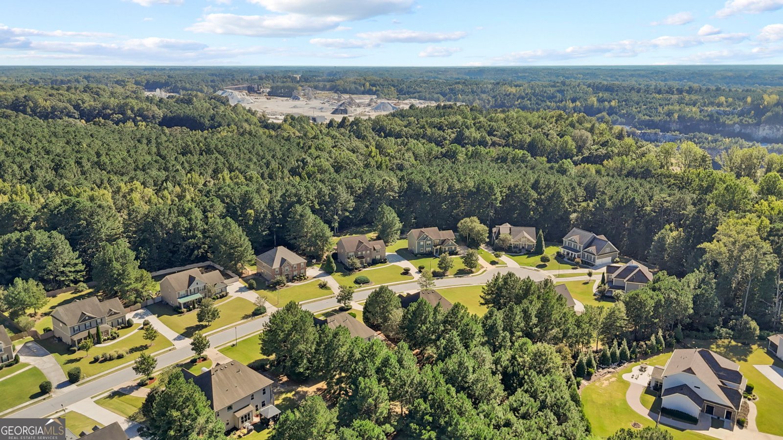 125 Delamere Place Tyrone - Photo 57