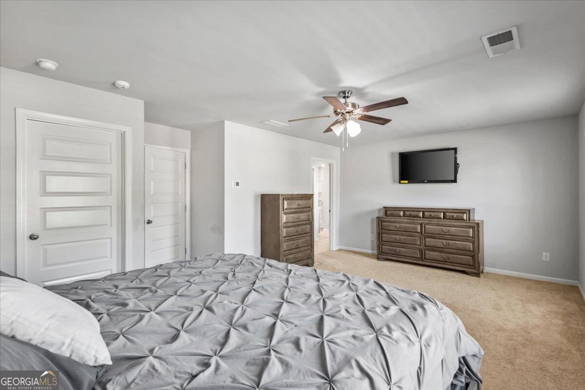 133 Cranapple Lane McDonough - Photo 19