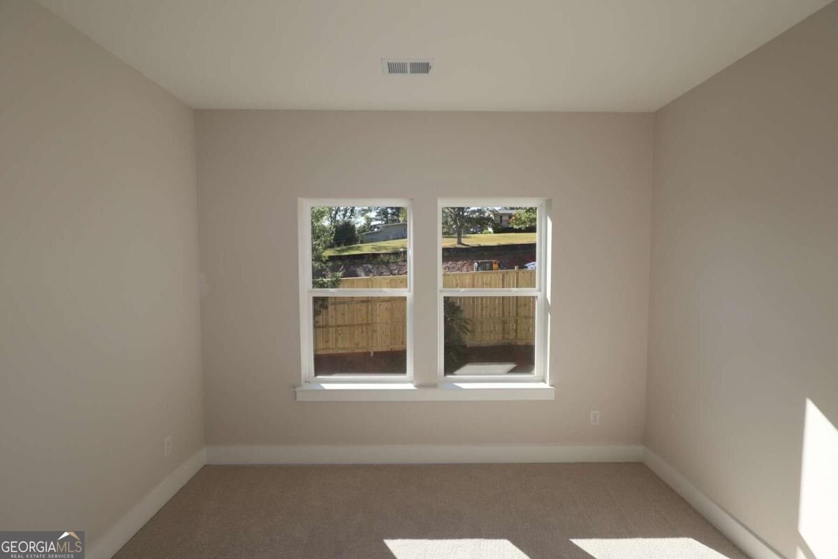 339 Beebalm Street Woodstock - Photo 9