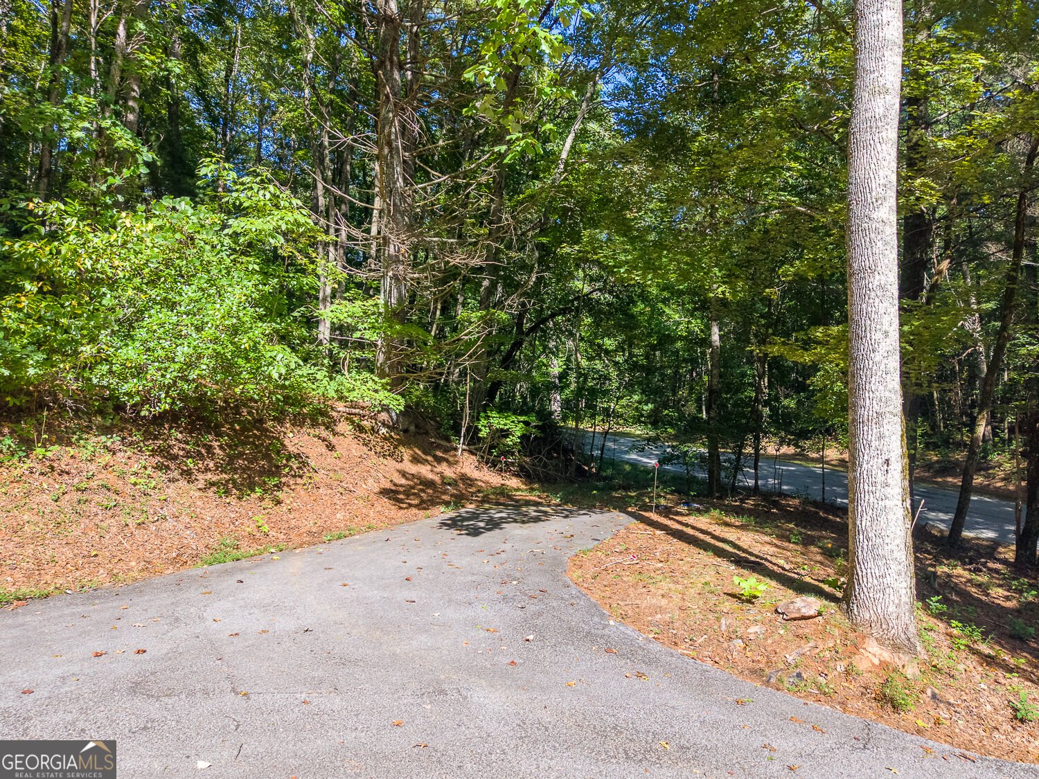 1460 Bald Mountain Road Dillard - Photo 64