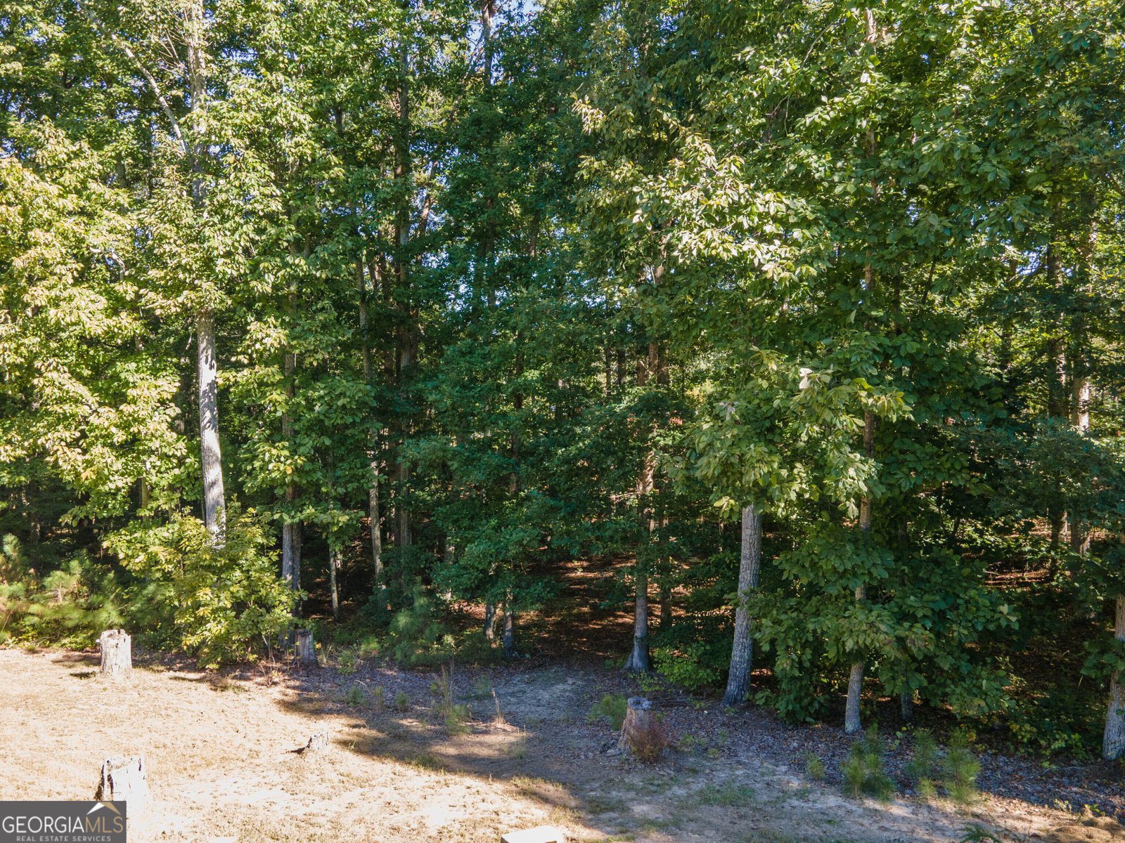 1326 Little Vine Road Temple - Photo 11