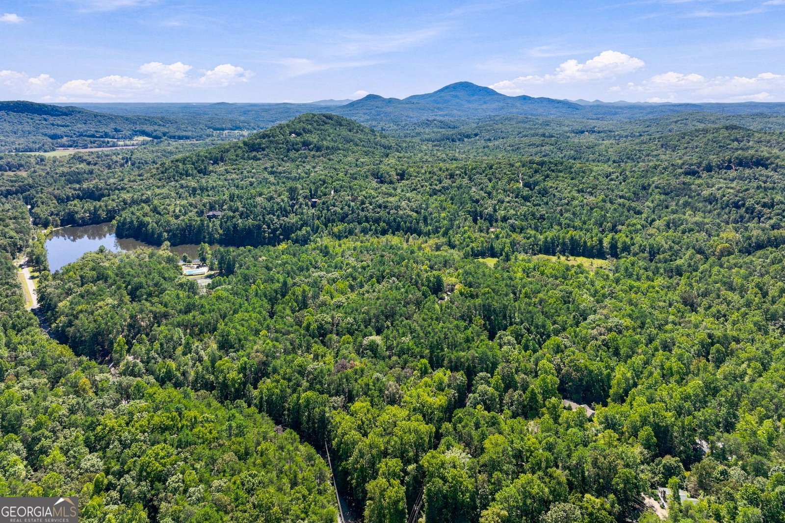 270 Woodbrier Sautee Nacoochee - Photo 46