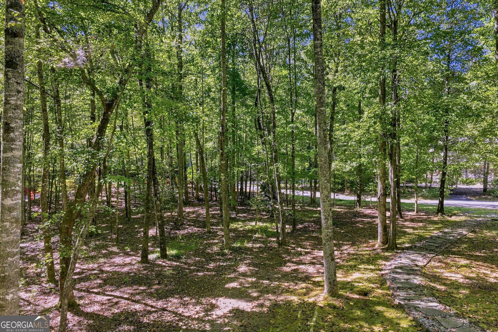 270 Woodbrier Sautee Nacoochee - Photo 9