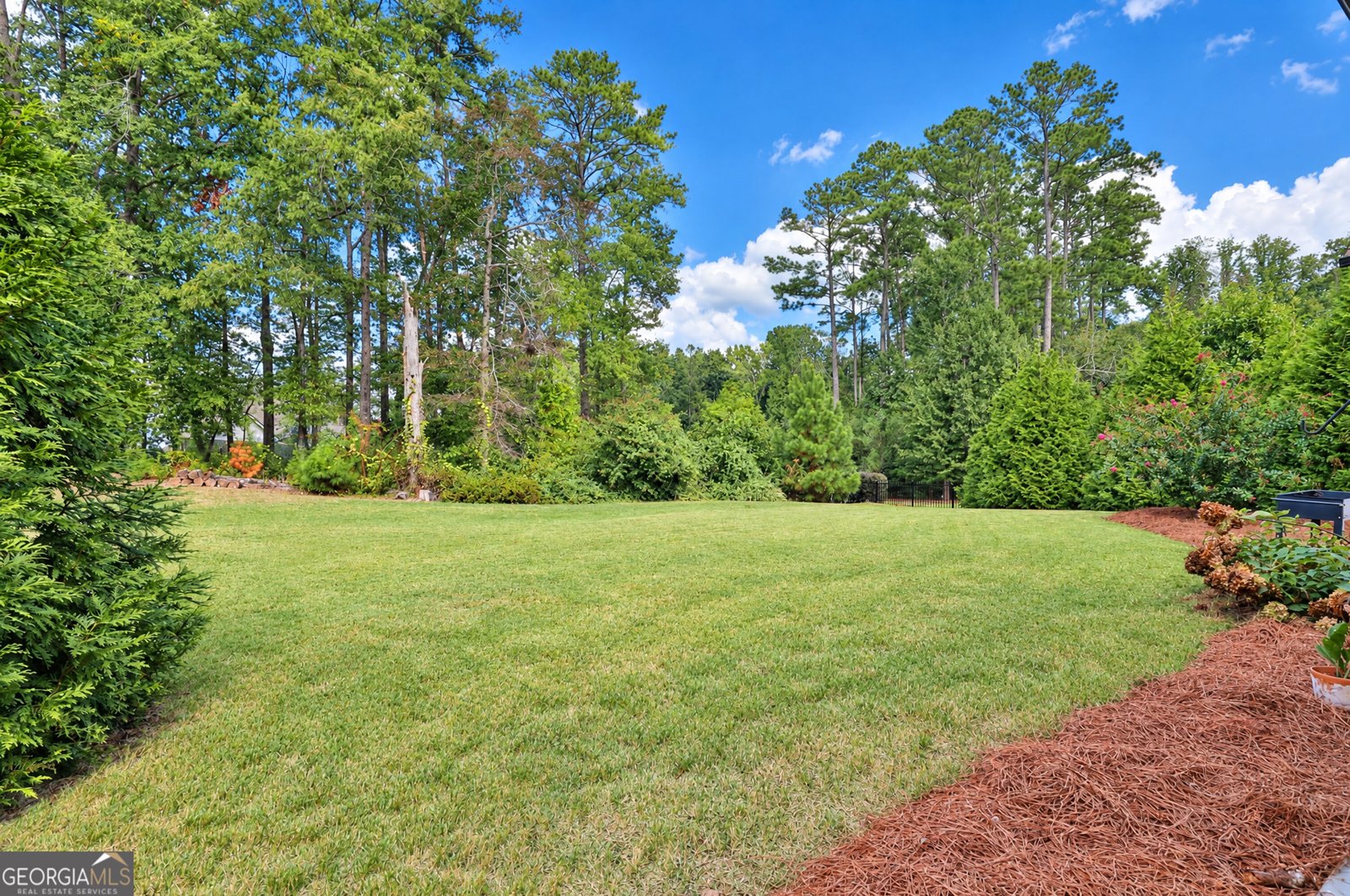 160 Duck Drive Senoia - Photo 12