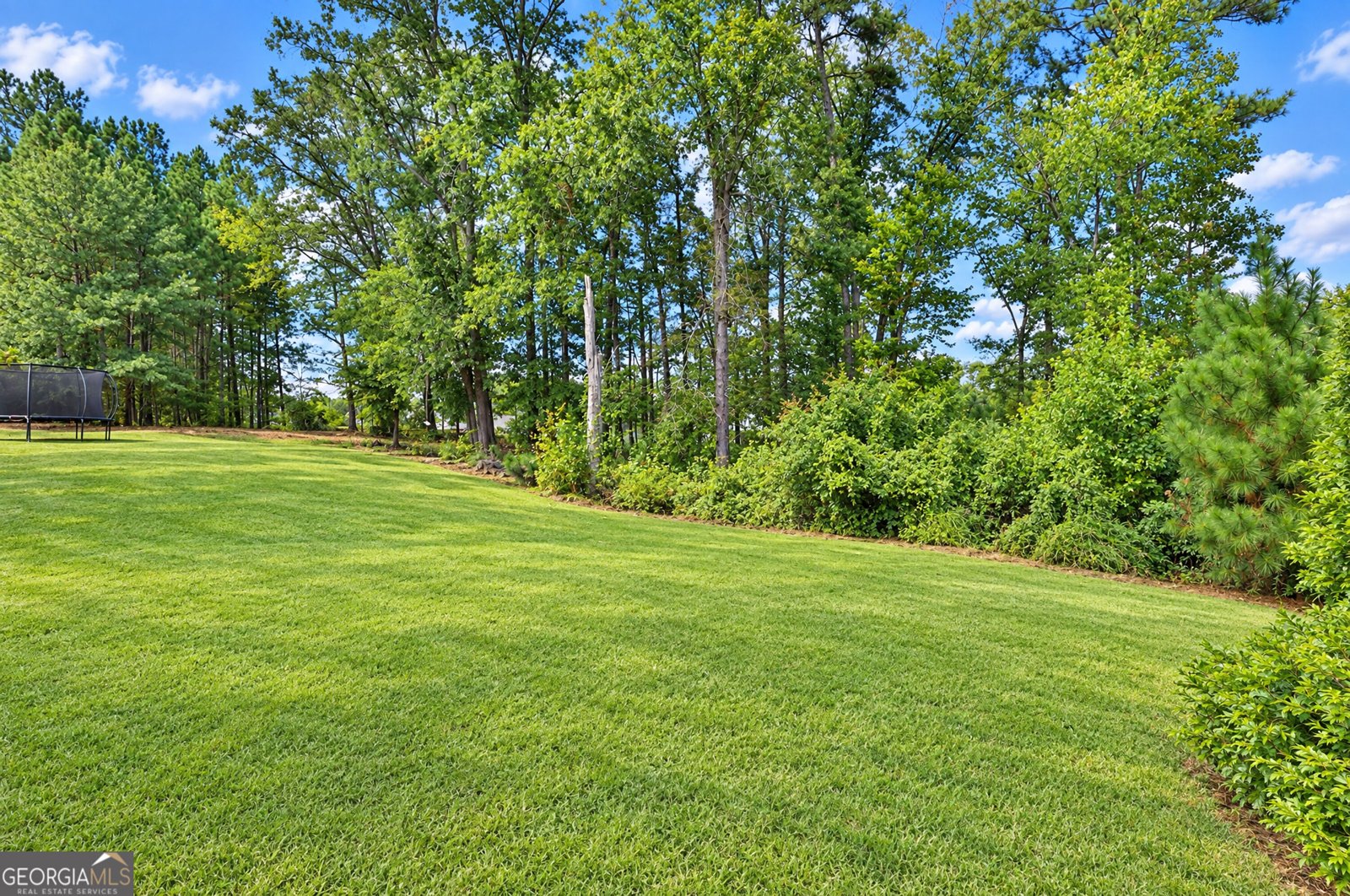 160 Duck Drive Senoia - Photo 15
