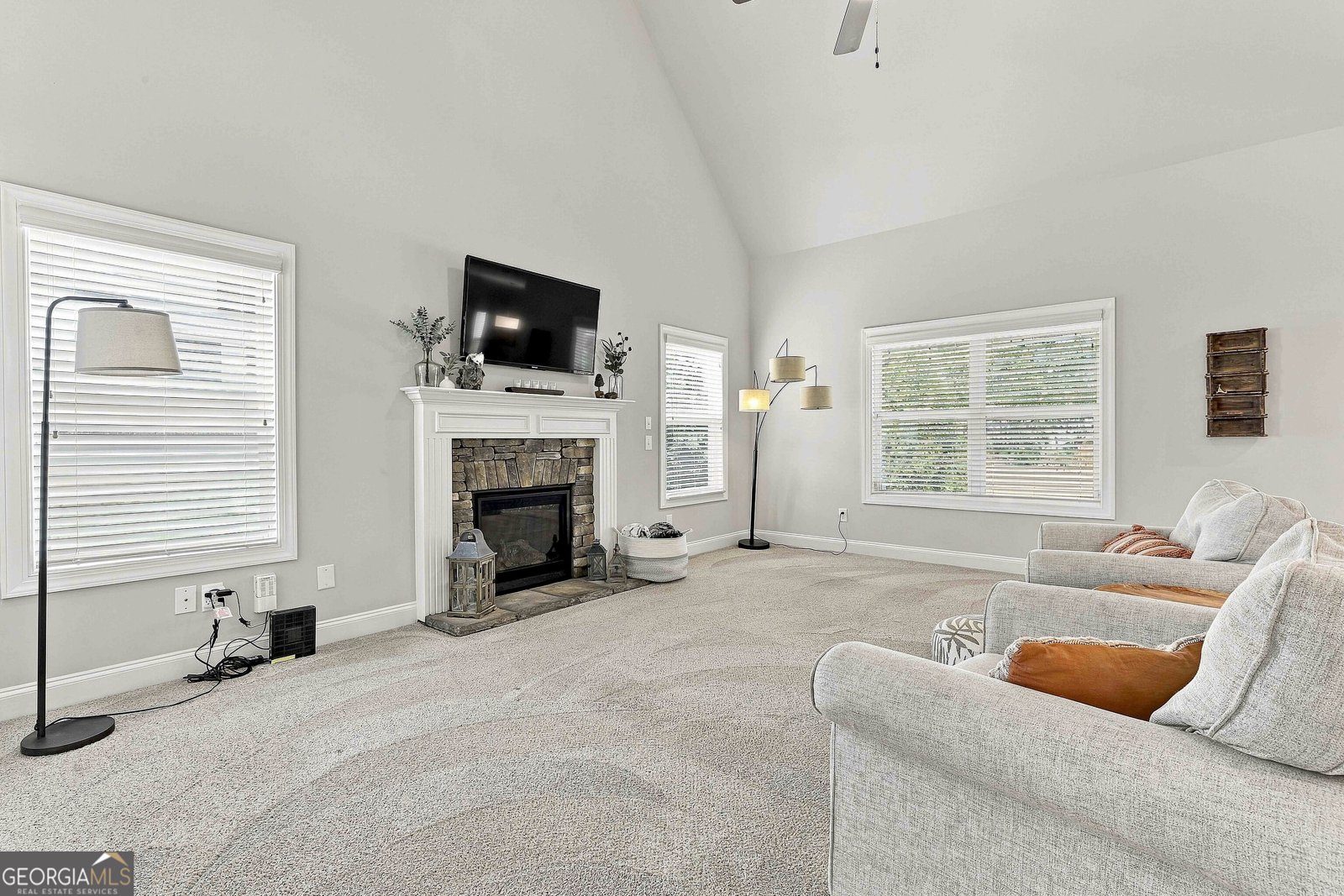160 Duck Drive Senoia - Photo 38