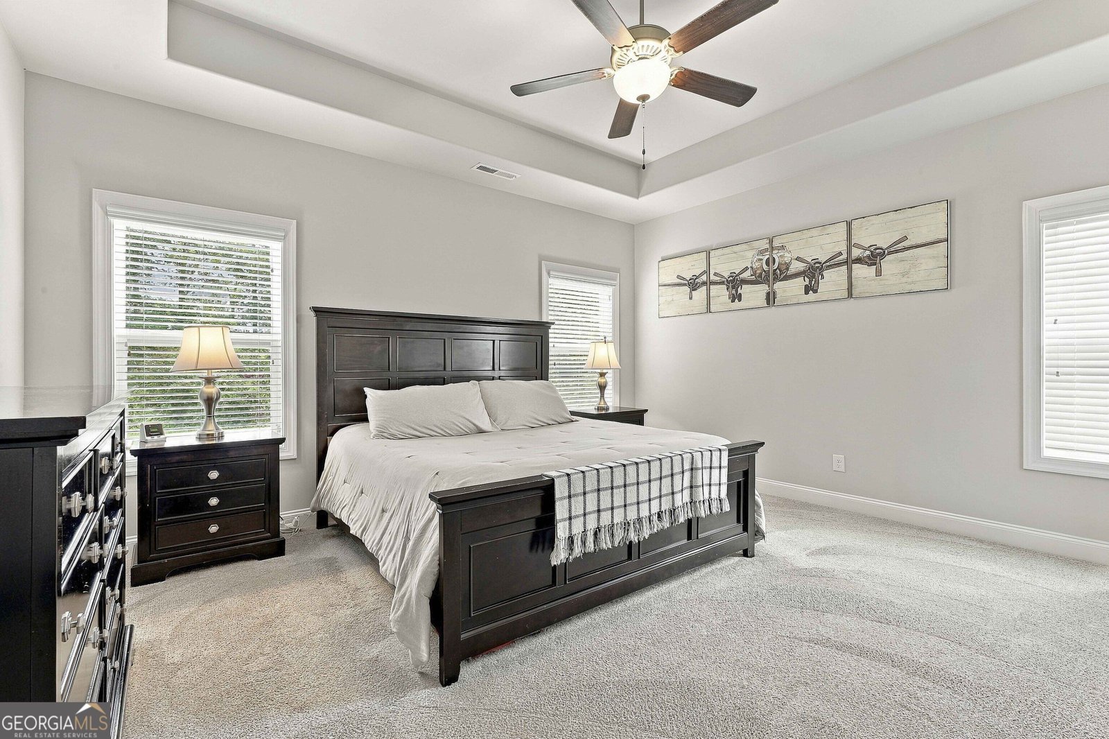 160 Duck Drive Senoia - Photo 55