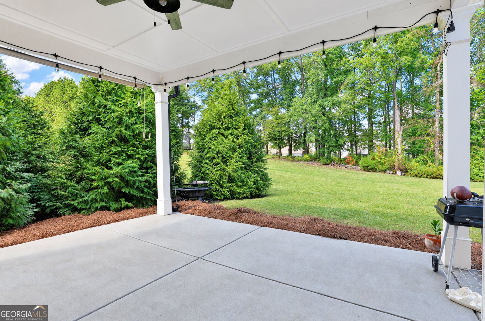 160 Duck Drive Senoia - Photo 8