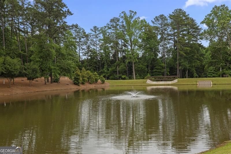 117 Heron Crossing Woodstock - Photo 33
