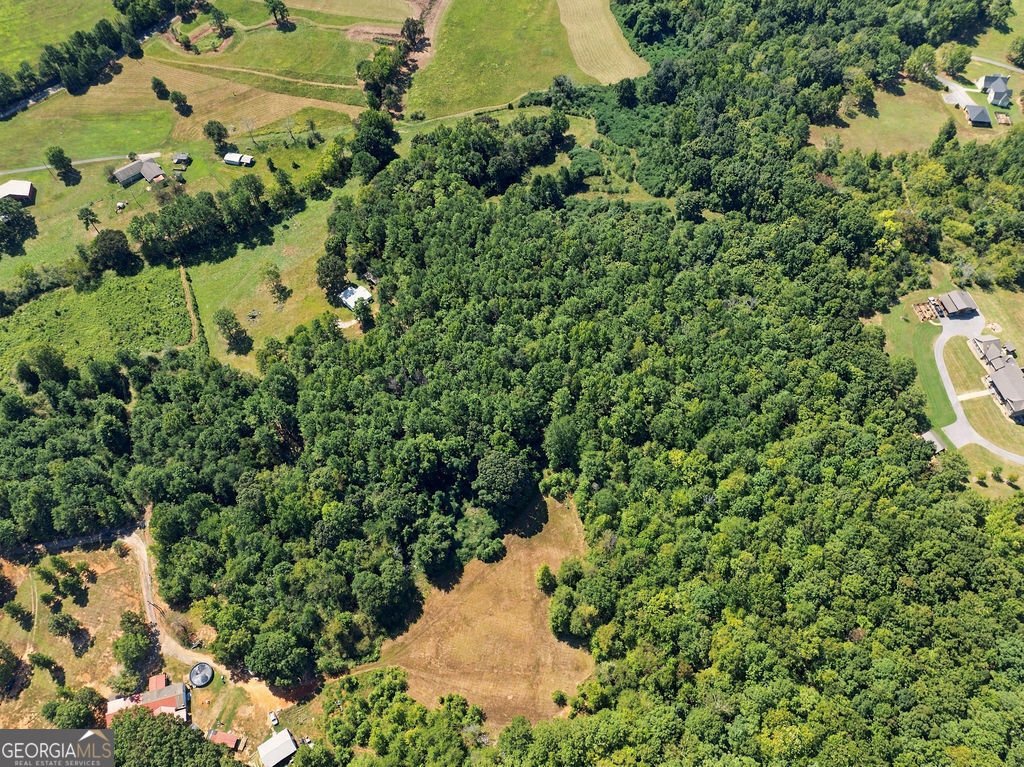 1458 Old Cedartown Road Lindale - Photo 30