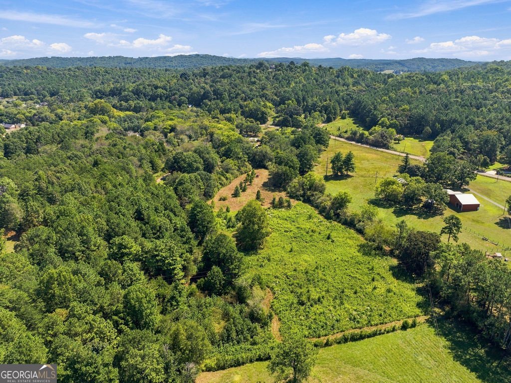 1458 Old Cedartown Road Lindale - Photo 32