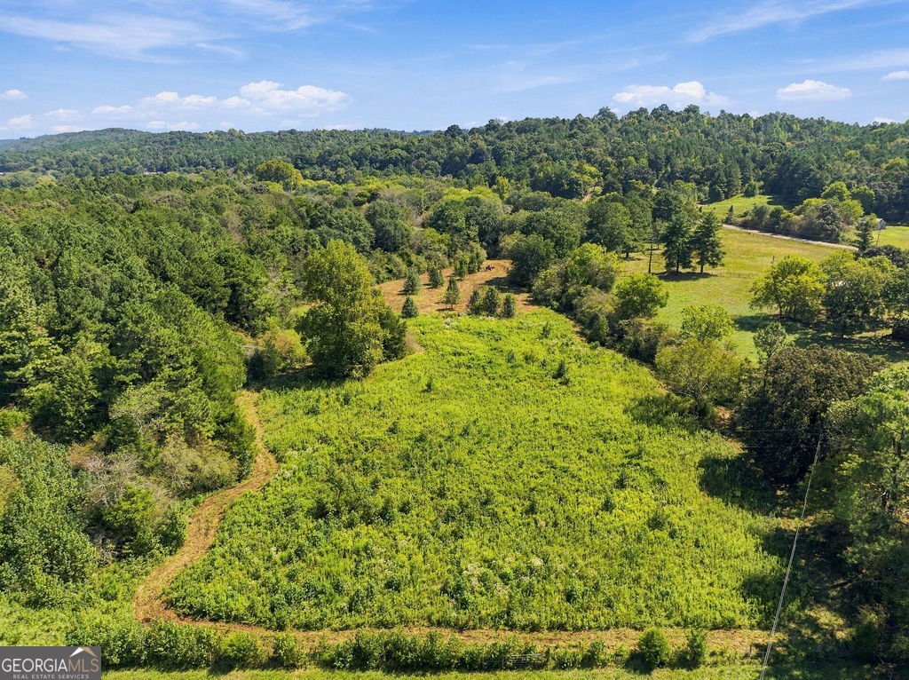 1458 Old Cedartown Road Lindale - Photo 33
