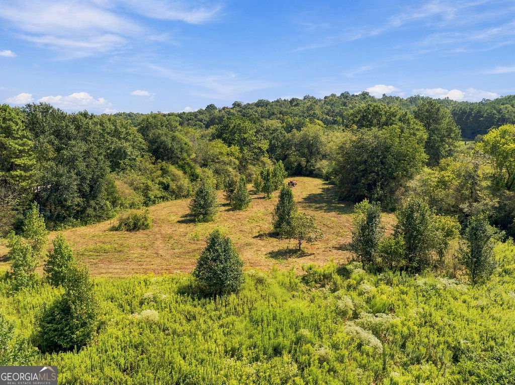 1458 Old Cedartown Road Lindale - Photo 34