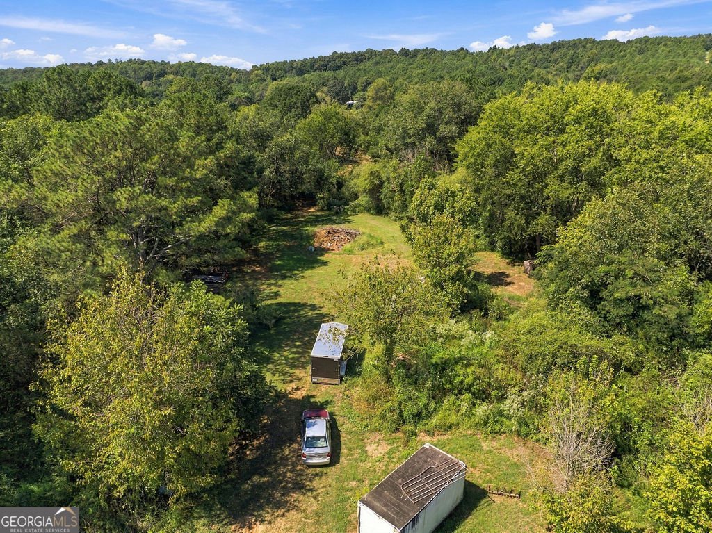 1458 Old Cedartown Road Lindale - Photo 37