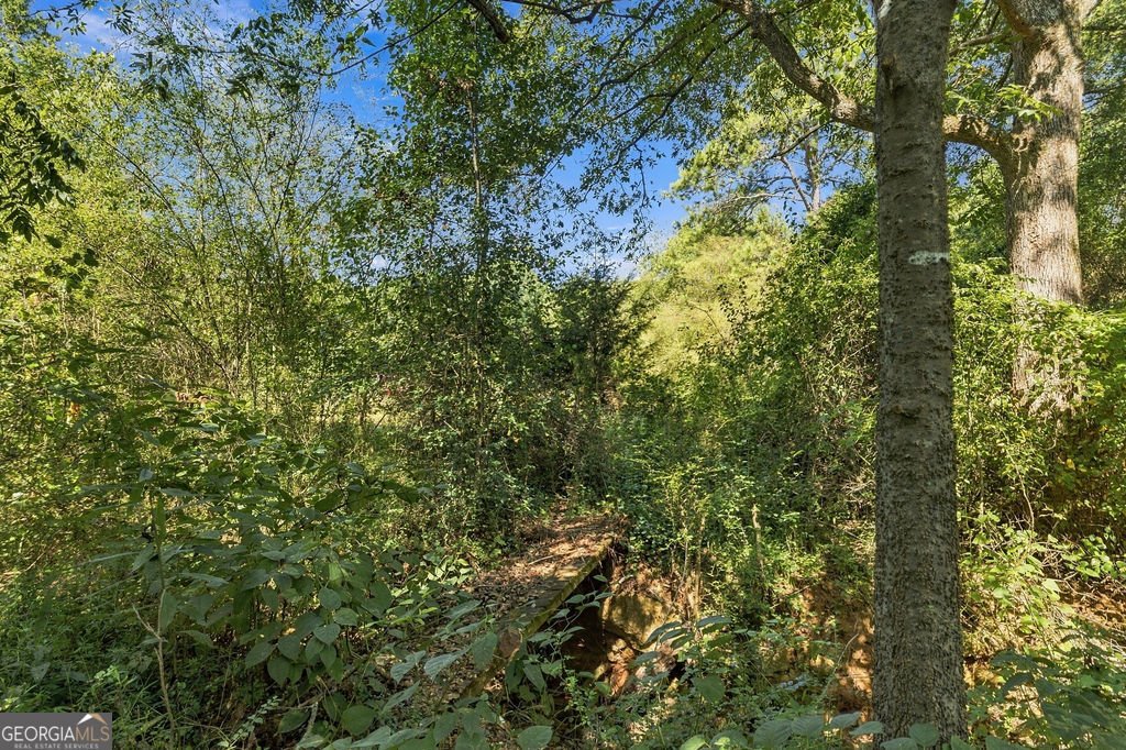 1458 Old Cedartown Road Lindale - Photo 44
