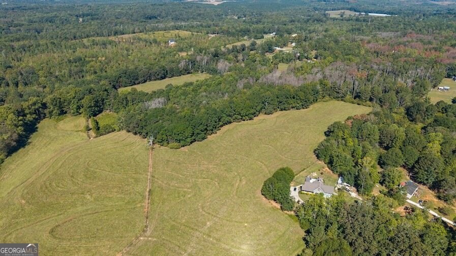 880 Burwell Mount Zion Road Carrollton - Photo 10