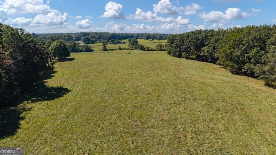 880 Burwell Mount Zion Road Carrollton - Photo 11