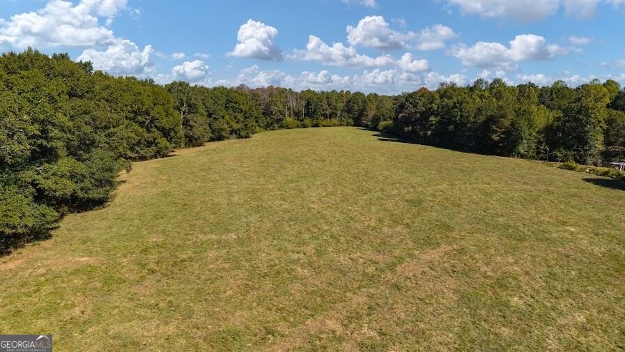 880 Burwell Mount Zion Road Carrollton - Photo 12