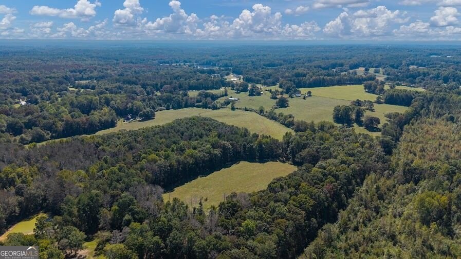 880 Burwell Mount Zion Road Carrollton - Photo 13