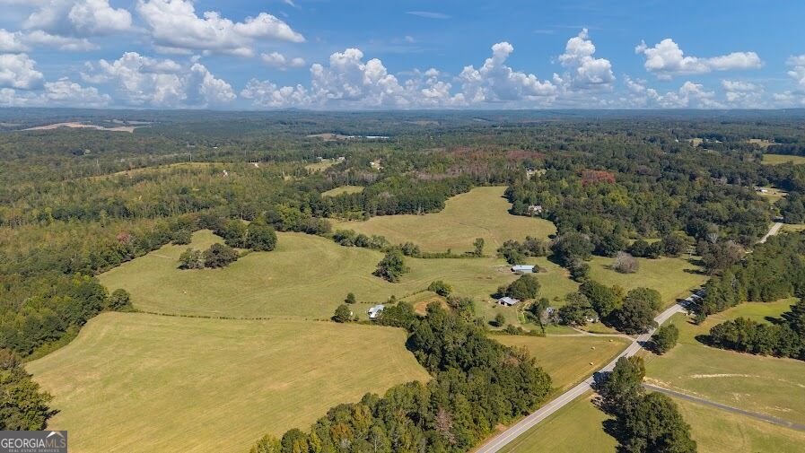 880 Burwell Mount Zion Road Carrollton - Photo 18