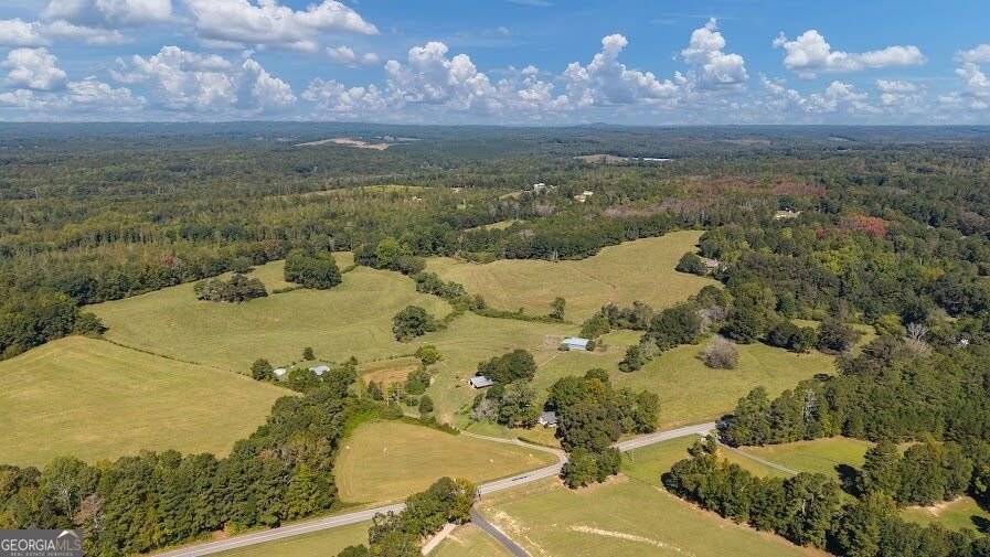 880 Burwell Mount Zion Road Carrollton - Photo 20