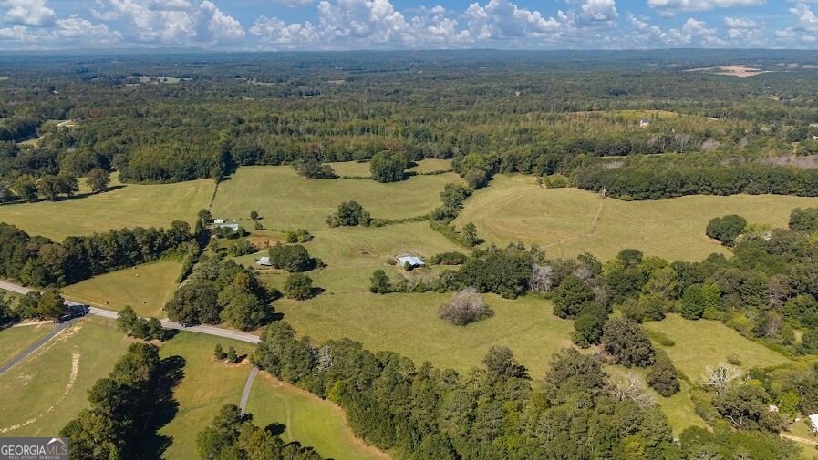 880 Burwell Mount Zion Road Carrollton - Photo 21
