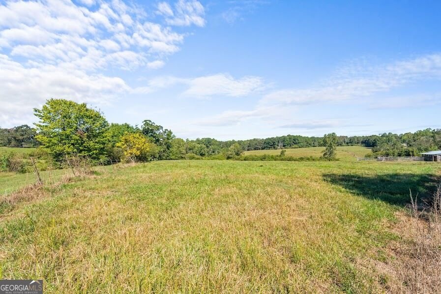 880 Burwell Mount Zion Road Carrollton - Photo 23