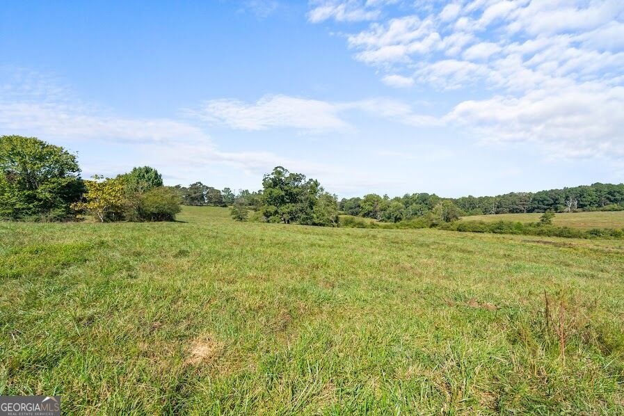 880 Burwell Mount Zion Road Carrollton - Photo 27