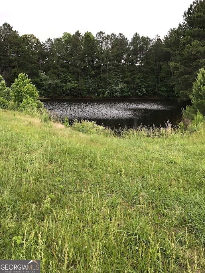 880 Burwell Mount Zion Road Carrollton - Photo 31
