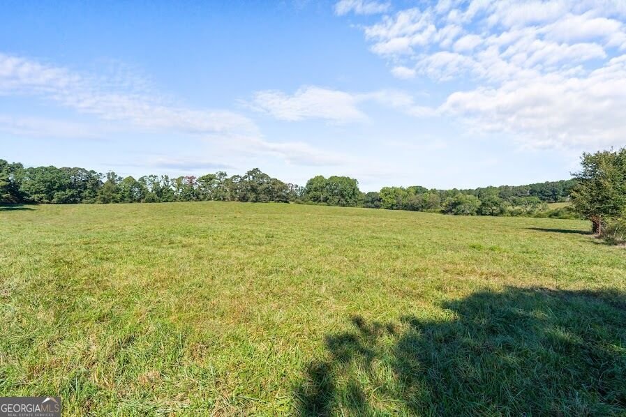 880 Burwell Mount Zion Road Carrollton - Photo 7