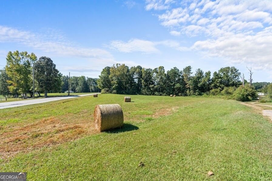 880 Burwell Mount Zion Road Carrollton - Photo 8